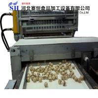 Hebei Saiheng Food Processing Equipment Co.,Ltd image 7
