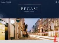 Pegasi Management Company Limited image 8