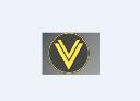 ViralVisor logo