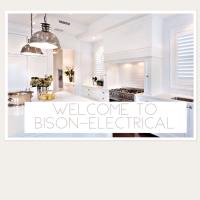Bison Electrical Limited image 1