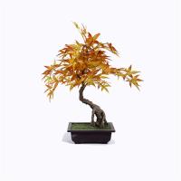  Sharetrade Artificial Plant and Tree Manufacturer image 7
