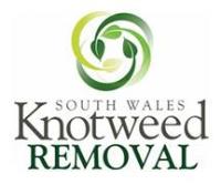 South Wales Knotweed Removal image 1