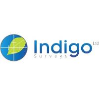 Indigo Surveys image 1