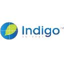 Indigo Surveys logo