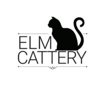ELM Cattery image 2