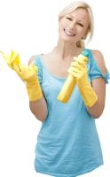 Smart Domestic Cleaning image 1