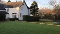 CY Artificial Grass  image 1