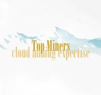 Topminers.net image 1