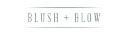 BLUSH & BLOW LIMITED logo