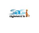 SAS Dummies logo