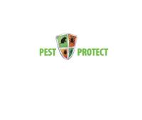 Pest Control London Areas image 1