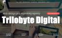 Trilobyte Digital Marketing logo