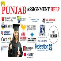 Punjab Assignment Help image 3