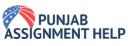 Punjab Assignment Help logo