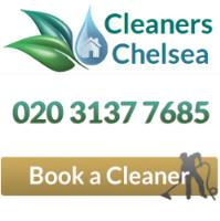 Professional Cleaners Chelsea image 1