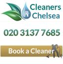 Professional Cleaners Chelsea logo