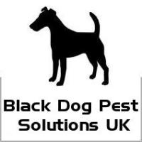 Black Dog Pest Solutions UK image 1