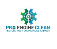 Pro Engine Clean  image 1