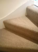 Pro Teck Carpet Cleaning image 2