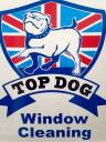 Top Dog Window Cleaning logo