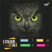 Colour It In Ltd image 6