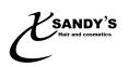 Xsandys logo