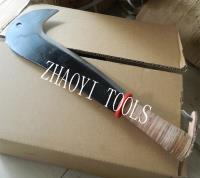 LETING ZHAOYI IMPORT AND EXPORT CO.,LTD image 15