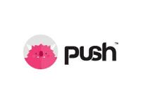 Push Group image 1