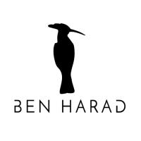 Ben Harad image 2