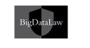 Big Data Law logo