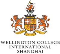 Wellington College image 1