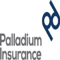 Palladium Insurance image 3