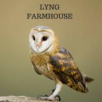 Lyng Farmhouse image 1
