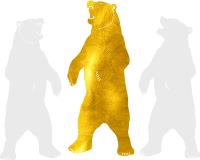 Gold Bear Removals Brighton image 2
