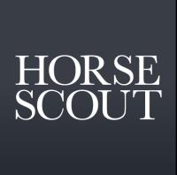 Horse Scout image 1
