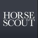 Horse Scout logo