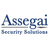 Assegai Security Solutions image 1