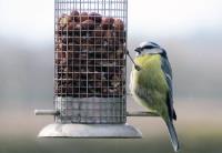 Brinvale Bird Foods  image 1