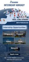 PursueAsia International Internship Program image 1