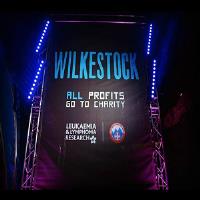 Wilkestock Festival image 1