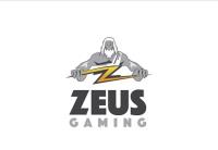 Zeus Gaming image 1