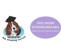Leicester Dog Grooming Courses image 1