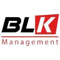 BLK Management Ltd image 1