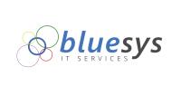 Bluesys IT Services Ltd image 1