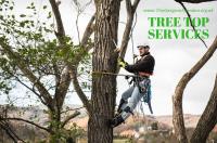 Tree Top Services image 1