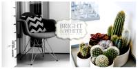 Bright and White Dental Spa  image 5