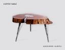 Molten Wood Coffee Table at Aglow Export Inc logo