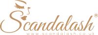 Scandalash® Lashes and Brows (essex) image 1