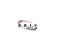 BRIS Group image 1