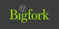 Bigfork Ltd. image 1